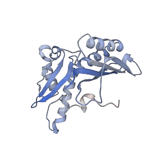 8616_5uyl_C_v1-3
70S ribosome bound with cognate ternary complex base-paired to A site codon (Structure II)
