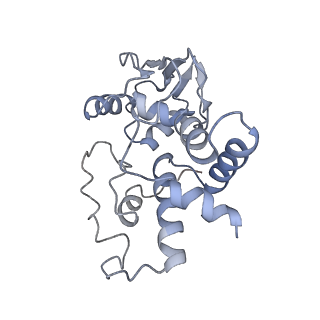 8616_5uyl_D_v1-3
70S ribosome bound with cognate ternary complex base-paired to A site codon (Structure II)