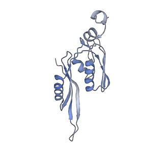 8616_5uyl_E_v1-4
70S ribosome bound with cognate ternary complex base-paired to A site codon (Structure II)