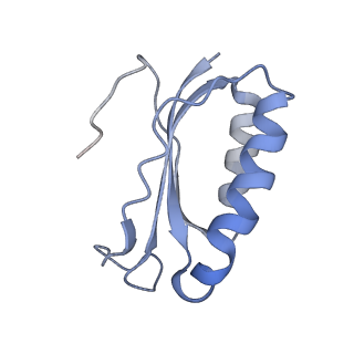8616_5uyl_F_v1-3
70S ribosome bound with cognate ternary complex base-paired to A site codon (Structure II)