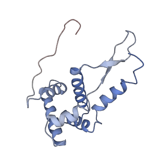 8616_5uyl_G_v1-3
70S ribosome bound with cognate ternary complex base-paired to A site codon (Structure II)