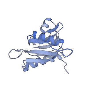 8616_5uyl_H_v1-3
70S ribosome bound with cognate ternary complex base-paired to A site codon (Structure II)