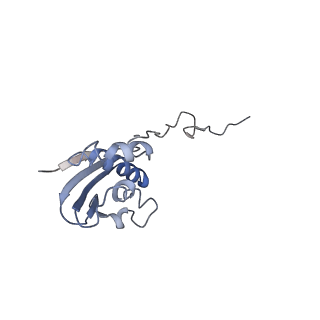 8616_5uyl_I_v1-3
70S ribosome bound with cognate ternary complex base-paired to A site codon (Structure II)