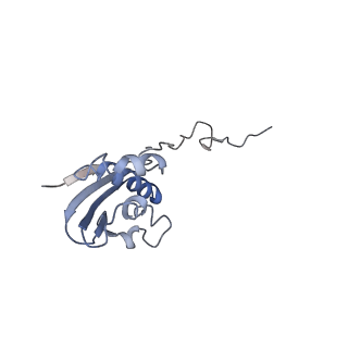 8616_5uyl_I_v1-4
70S ribosome bound with cognate ternary complex base-paired to A site codon (Structure II)