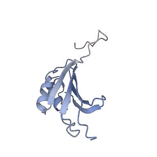 8616_5uyl_K_v1-3
70S ribosome bound with cognate ternary complex base-paired to A site codon (Structure II)