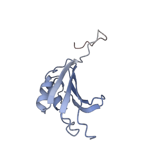 8616_5uyl_K_v1-4
70S ribosome bound with cognate ternary complex base-paired to A site codon (Structure II)