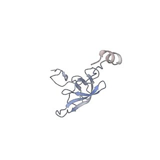 8616_5uyl_L_v1-3
70S ribosome bound with cognate ternary complex base-paired to A site codon (Structure II)