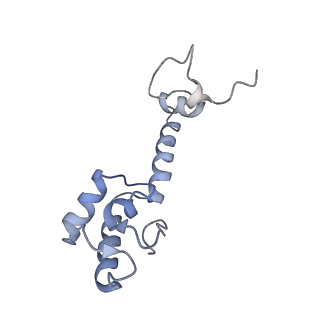 8616_5uyl_M_v1-3
70S ribosome bound with cognate ternary complex base-paired to A site codon (Structure II)