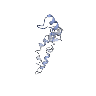 8616_5uyl_N_v1-3
70S ribosome bound with cognate ternary complex base-paired to A site codon (Structure II)
