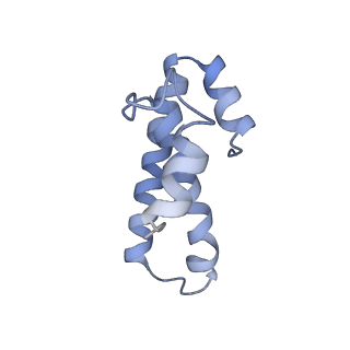 8616_5uyl_O_v1-3
70S ribosome bound with cognate ternary complex base-paired to A site codon (Structure II)