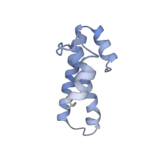 8616_5uyl_O_v1-4
70S ribosome bound with cognate ternary complex base-paired to A site codon (Structure II)