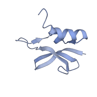 8616_5uyl_P_v1-3
70S ribosome bound with cognate ternary complex base-paired to A site codon (Structure II)