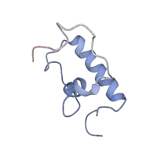 8616_5uyl_R_v1-3
70S ribosome bound with cognate ternary complex base-paired to A site codon (Structure II)