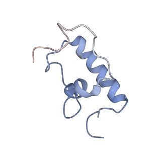 8616_5uyl_R_v1-4
70S ribosome bound with cognate ternary complex base-paired to A site codon (Structure II)