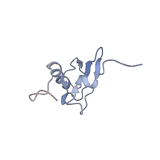 8616_5uyl_S_v1-3
70S ribosome bound with cognate ternary complex base-paired to A site codon (Structure II)