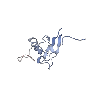 8616_5uyl_S_v1-4
70S ribosome bound with cognate ternary complex base-paired to A site codon (Structure II)