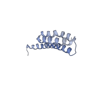 8616_5uyl_T_v1-4
70S ribosome bound with cognate ternary complex base-paired to A site codon (Structure II)