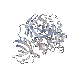 8616_5uyl_Z_v1-3
70S ribosome bound with cognate ternary complex base-paired to A site codon (Structure II)