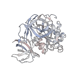 8616_5uyl_Z_v1-4
70S ribosome bound with cognate ternary complex base-paired to A site codon (Structure II)