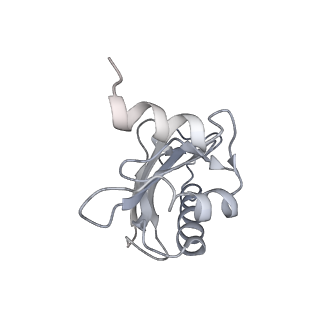 8617_5uym_03_v1-4
70S ribosome bound with cognate ternary complex base-paired to A site codon, closed 30S (Structure III)