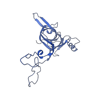 8617_5uym_05_v1-4
70S ribosome bound with cognate ternary complex base-paired to A site codon, closed 30S (Structure III)