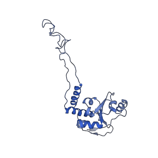 8617_5uym_06_v1-4
70S ribosome bound with cognate ternary complex base-paired to A site codon, closed 30S (Structure III)