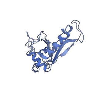 8617_5uym_07_v1-3
70S ribosome bound with cognate ternary complex base-paired to A site codon, closed 30S (Structure III)