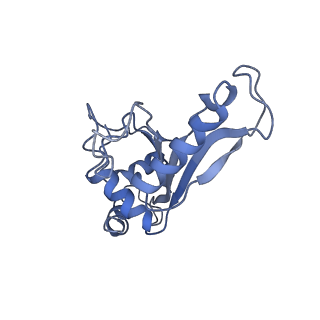 8617_5uym_07_v1-4
70S ribosome bound with cognate ternary complex base-paired to A site codon, closed 30S (Structure III)