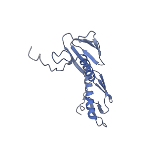 8617_5uym_08_v1-4
70S ribosome bound with cognate ternary complex base-paired to A site codon, closed 30S (Structure III)
