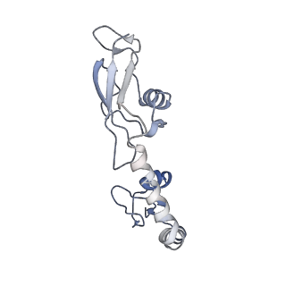 8617_5uym_09_v1-4
70S ribosome bound with cognate ternary complex base-paired to A site codon, closed 30S (Structure III)