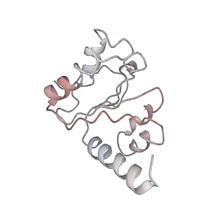 8617_5uym_10_v1-3
70S ribosome bound with cognate ternary complex base-paired to A site codon, closed 30S (Structure III)