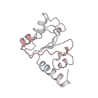 8617_5uym_10_v1-4
70S ribosome bound with cognate ternary complex base-paired to A site codon, closed 30S (Structure III)