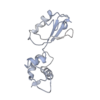 8617_5uym_11_v1-3
70S ribosome bound with cognate ternary complex base-paired to A site codon, closed 30S (Structure III)