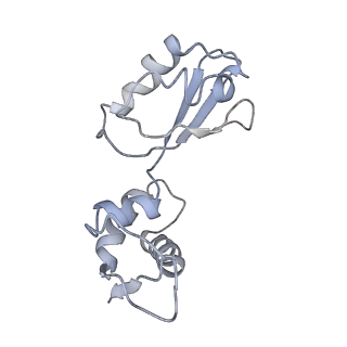 8617_5uym_11_v1-4
70S ribosome bound with cognate ternary complex base-paired to A site codon, closed 30S (Structure III)