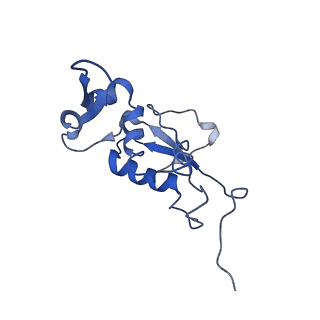 8617_5uym_12_v1-4
70S ribosome bound with cognate ternary complex base-paired to A site codon, closed 30S (Structure III)