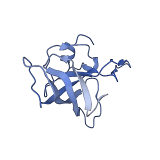 8617_5uym_13_v1-3
70S ribosome bound with cognate ternary complex base-paired to A site codon, closed 30S (Structure III)