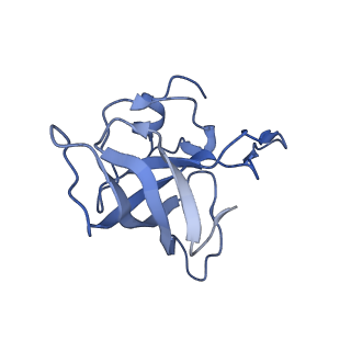 8617_5uym_13_v1-4
70S ribosome bound with cognate ternary complex base-paired to A site codon, closed 30S (Structure III)