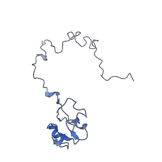 8617_5uym_14_v1-3
70S ribosome bound with cognate ternary complex base-paired to A site codon, closed 30S (Structure III)