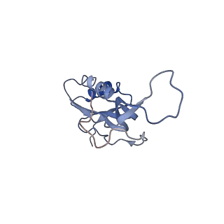 8617_5uym_15_v1-3
70S ribosome bound with cognate ternary complex base-paired to A site codon, closed 30S (Structure III)