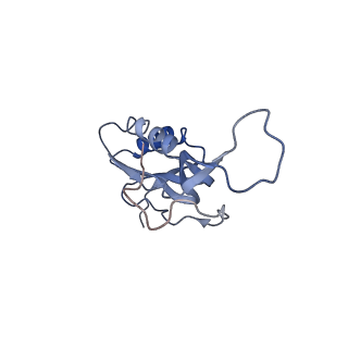 8617_5uym_15_v1-4
70S ribosome bound with cognate ternary complex base-paired to A site codon, closed 30S (Structure III)