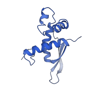 8617_5uym_16_v1-3
70S ribosome bound with cognate ternary complex base-paired to A site codon, closed 30S (Structure III)