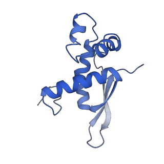 8617_5uym_16_v1-4
70S ribosome bound with cognate ternary complex base-paired to A site codon, closed 30S (Structure III)