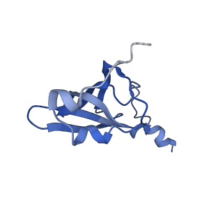 8617_5uym_18_v1-4
70S ribosome bound with cognate ternary complex base-paired to A site codon, closed 30S (Structure III)