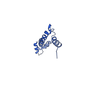 8617_5uym_19_v1-4
70S ribosome bound with cognate ternary complex base-paired to A site codon, closed 30S (Structure III)