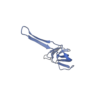 8617_5uym_20_v1-4
70S ribosome bound with cognate ternary complex base-paired to A site codon, closed 30S (Structure III)