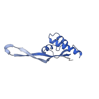 8617_5uym_21_v1-4
70S ribosome bound with cognate ternary complex base-paired to A site codon, closed 30S (Structure III)