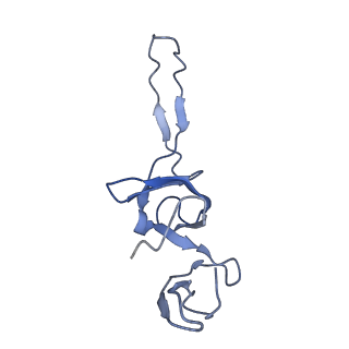 8617_5uym_23_v1-3
70S ribosome bound with cognate ternary complex base-paired to A site codon, closed 30S (Structure III)