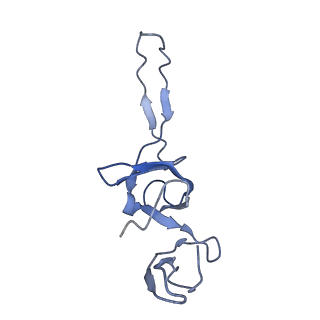 8617_5uym_23_v1-4
70S ribosome bound with cognate ternary complex base-paired to A site codon, closed 30S (Structure III)