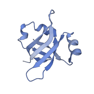 8617_5uym_24_v1-4
70S ribosome bound with cognate ternary complex base-paired to A site codon, closed 30S (Structure III)