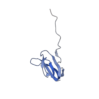 8617_5uym_25_v1-3
70S ribosome bound with cognate ternary complex base-paired to A site codon, closed 30S (Structure III)